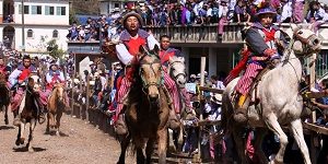 drunken-horse-racing