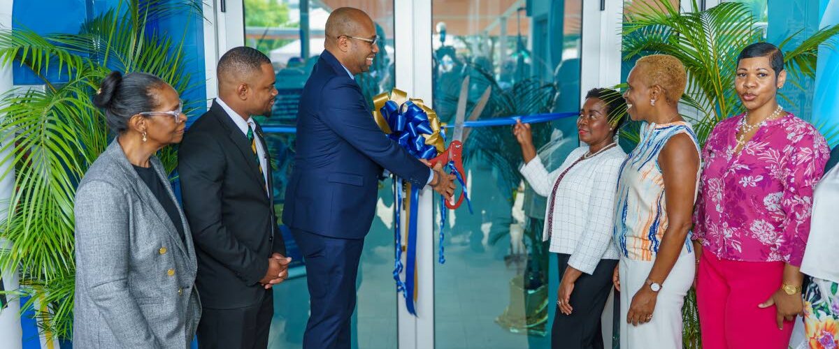 Jamaica incubator